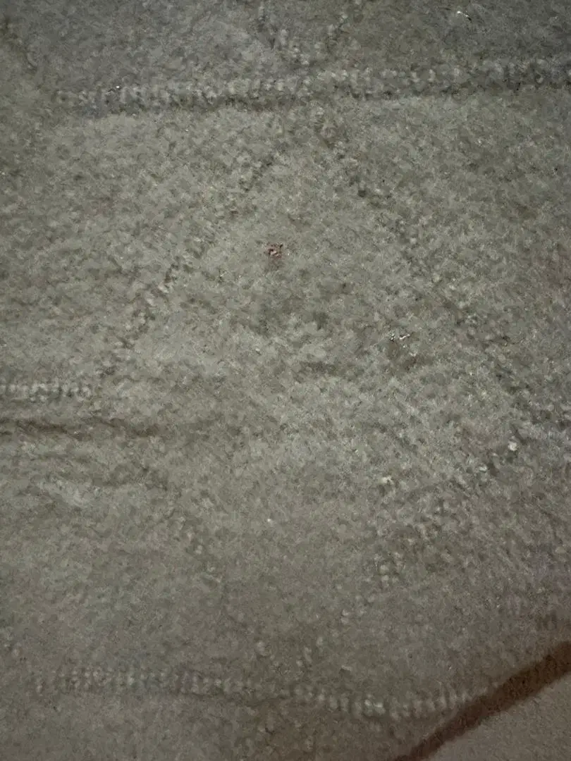 موکت|موکت|رباط‌کریم, الارد|دیوار