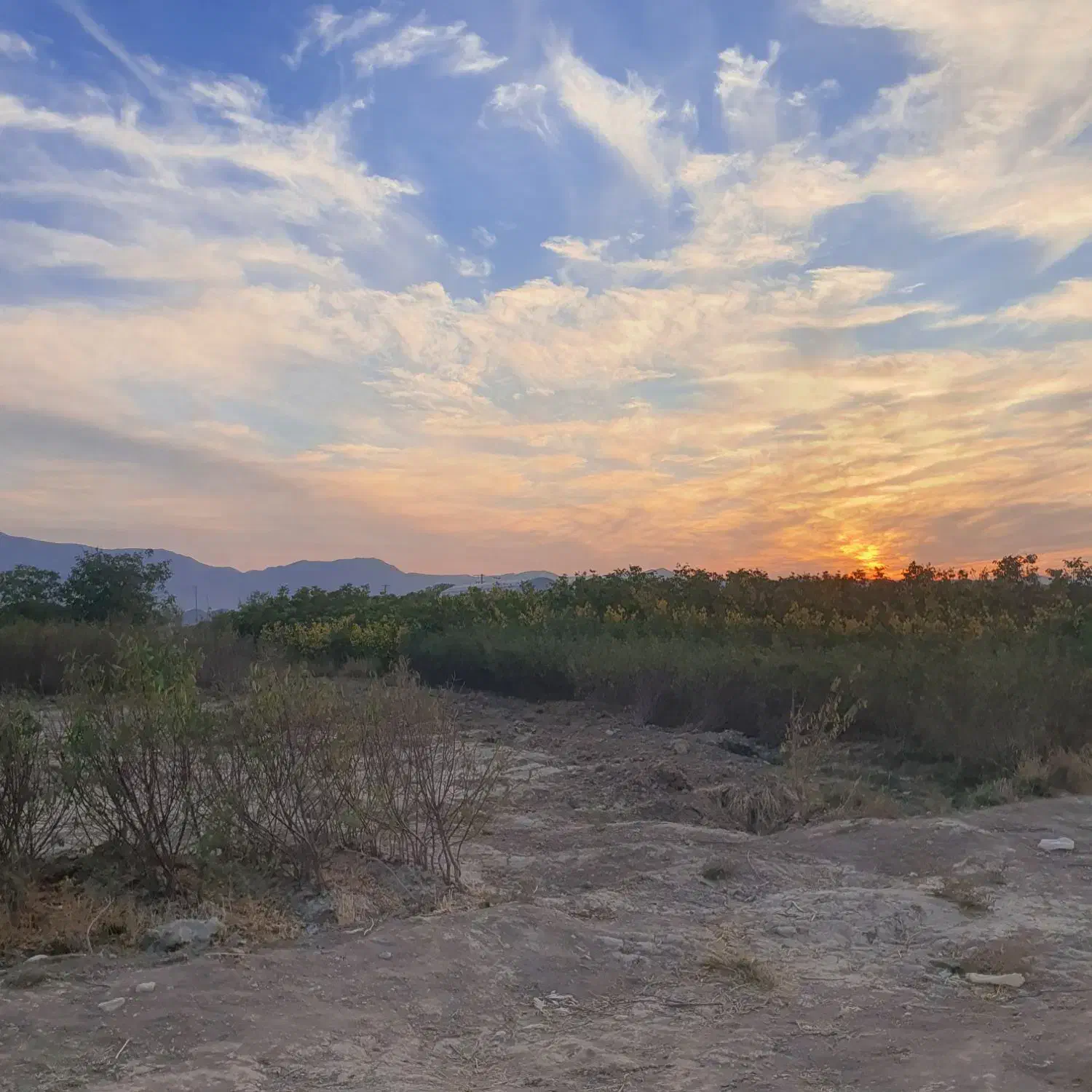 شراکت نیاز ب سرمایه با سود خوب|حیوانات مزرعه|اصفهان, برازنده|دیوار