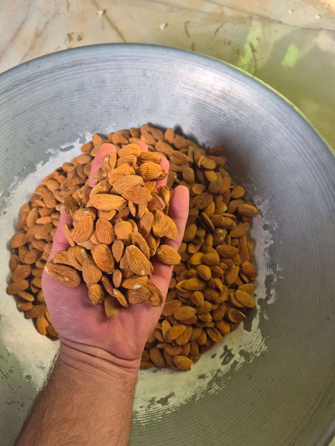 فروش بادام|عمدهفروشی|بن, |دیوار