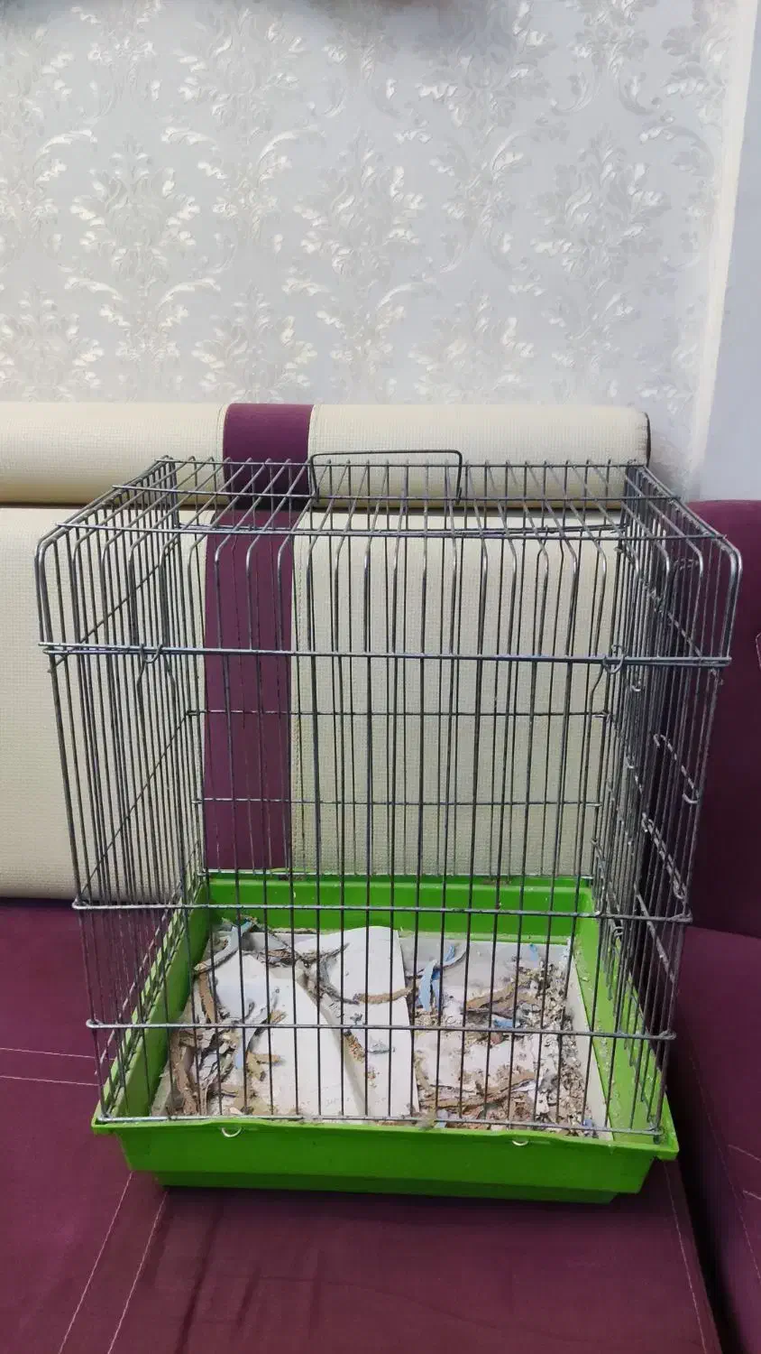 قفس پرنده(قفس مینا)|لوازم جانبی حیوانات|امیدیه, |دیوار