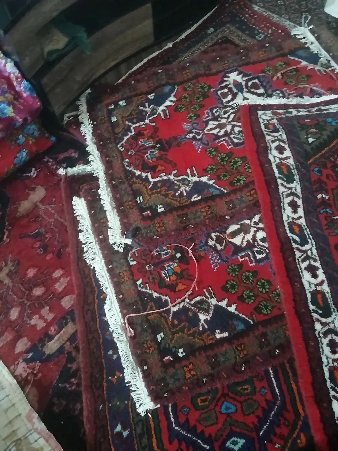 فرش دستباف|فرش|سجاس رود, |دیوار