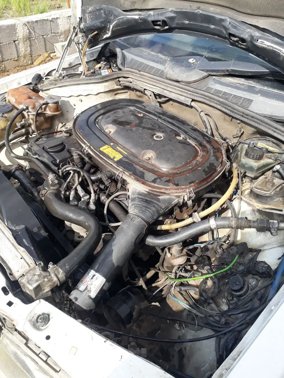 بنز e190 مدل ۱۹۹۱ انژکتور|خودرو کلاسیک|رشت, لاکان|دیوار