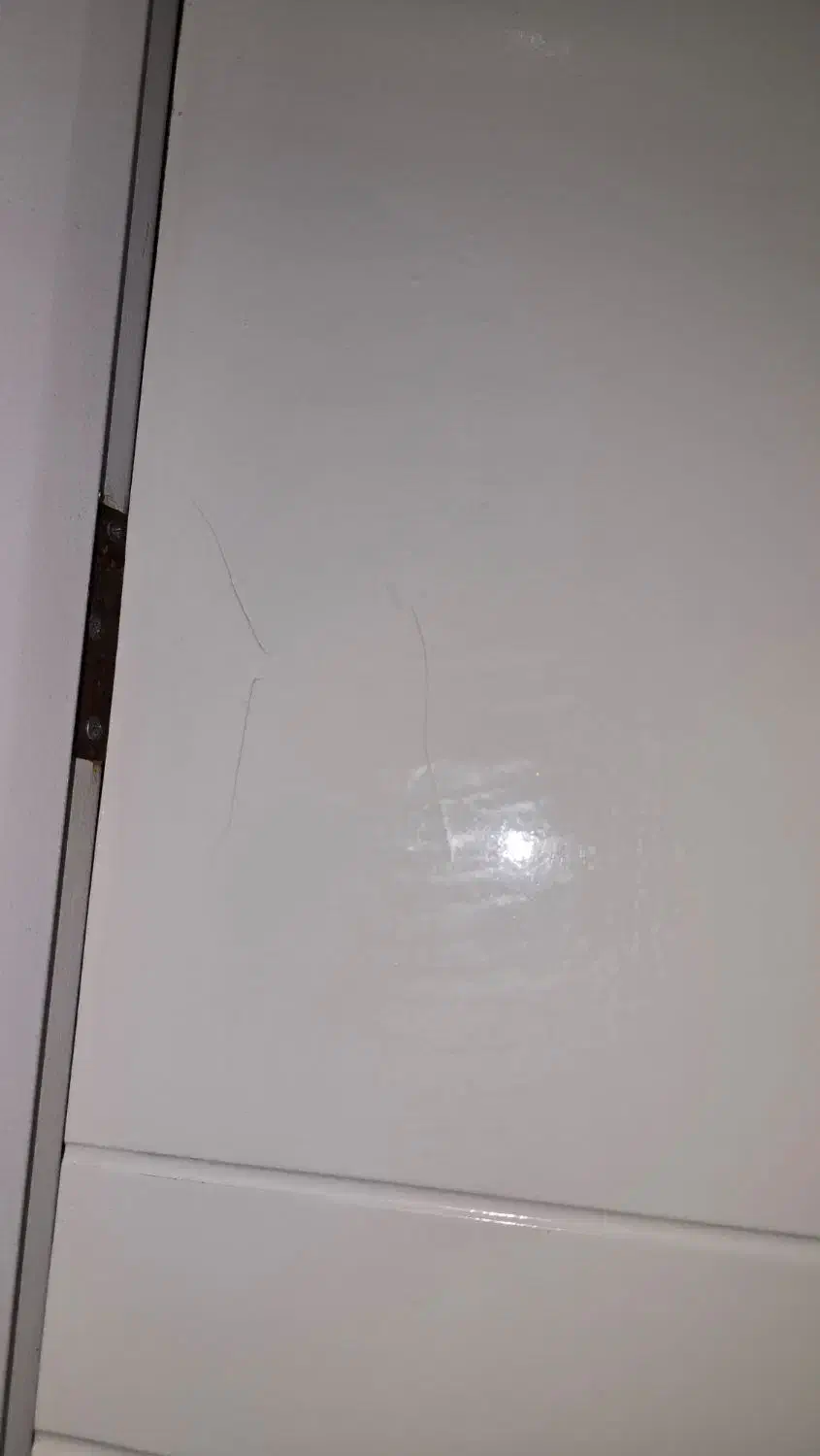 درب داخلی مدرن سفید|مصالح و تجهیزات ساختمان|بندرعباس, |دیوار