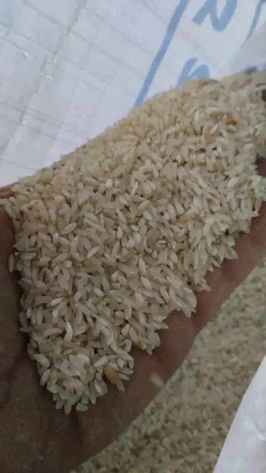 برنج کامفیروزی|خوردنی و آشامیدنی|شیراز, تلخ داش|دیوار