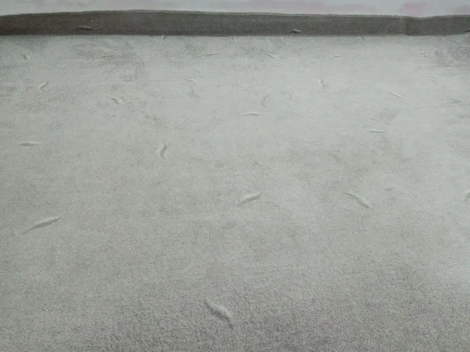 پالازموکت طوسی|موکت|ورامین, ورامین|دیوار