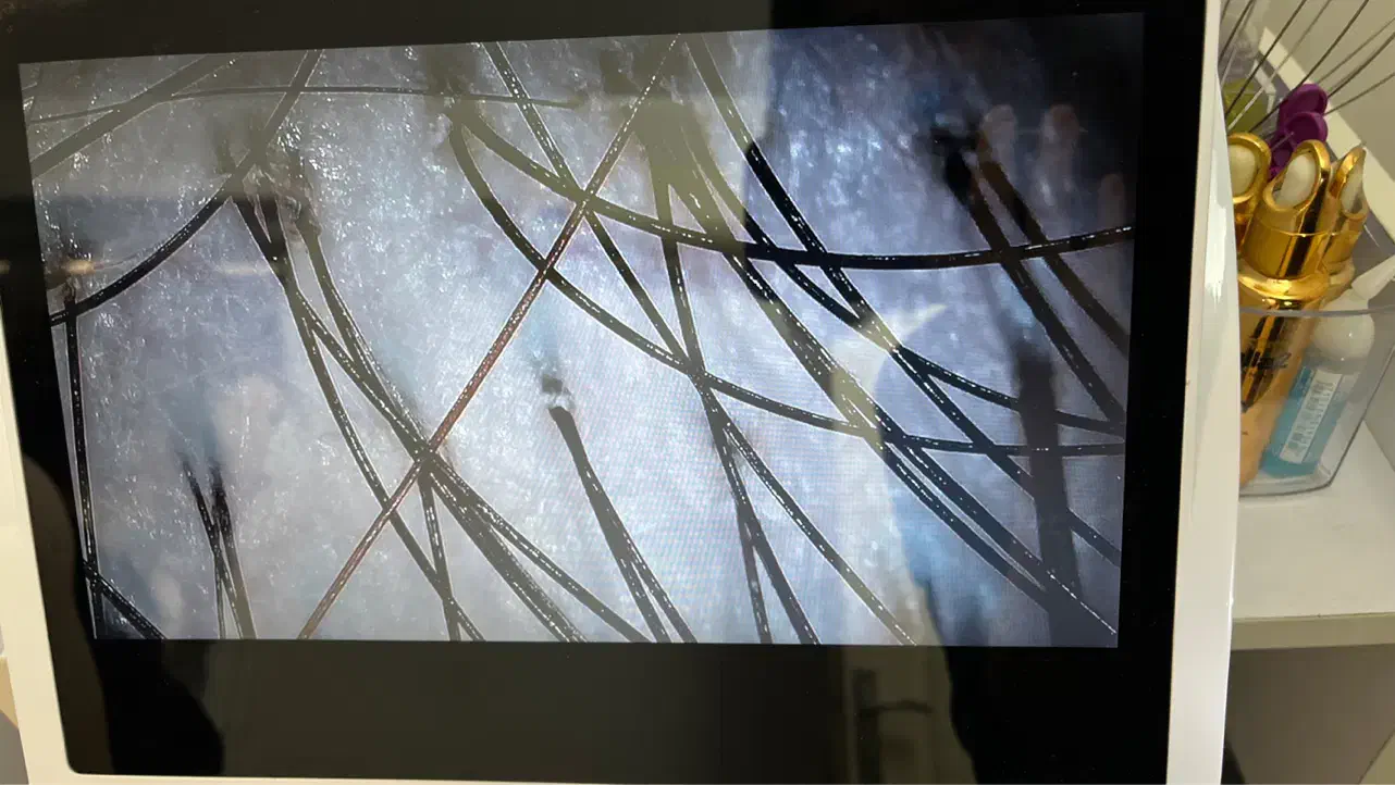 آموزش جامع اسکراب اسکالپ|خدمات آموزشی|تهران, تهرانپارس جنوبی|دیوار