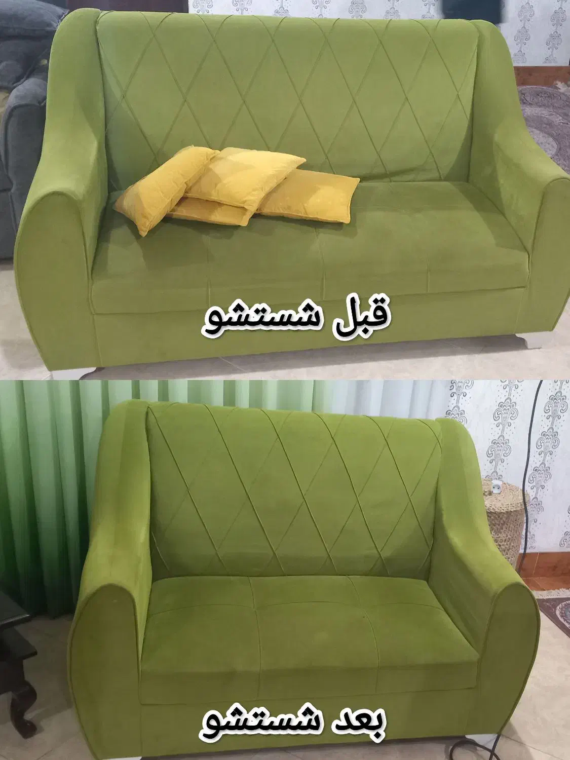 مبلشویی|خدمات نظافت|رشت, کاکتوس|دیوار