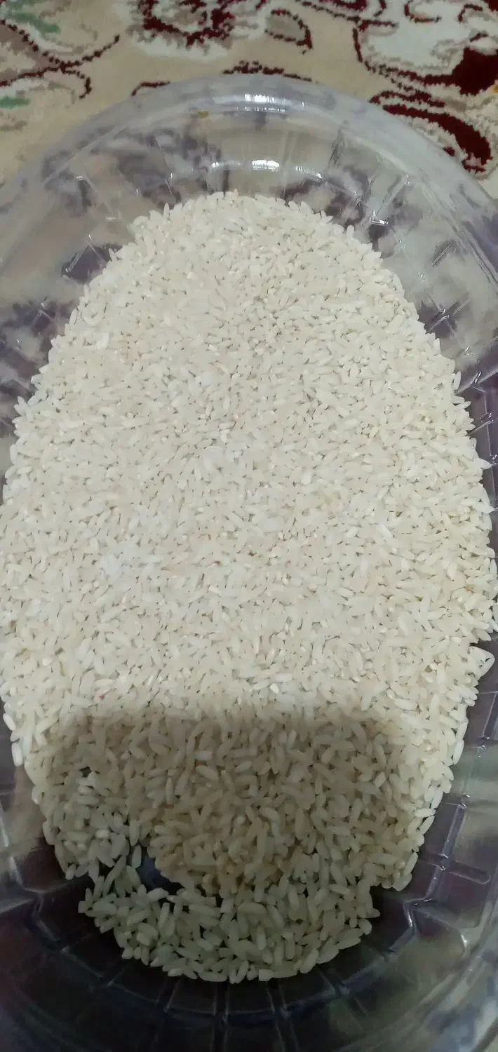 برنج عنبر بو|خوردنی و آشامیدنی|باوی, |دیوار