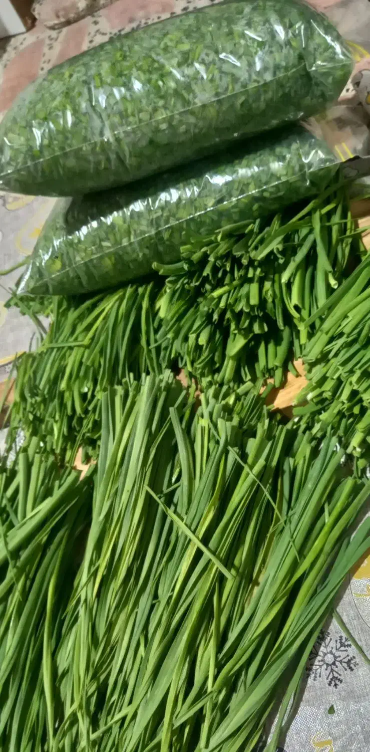 محصولات ارگانیک محمدی|خوردنی و آشامیدنی|رشت, شهرک صبا|دیوار