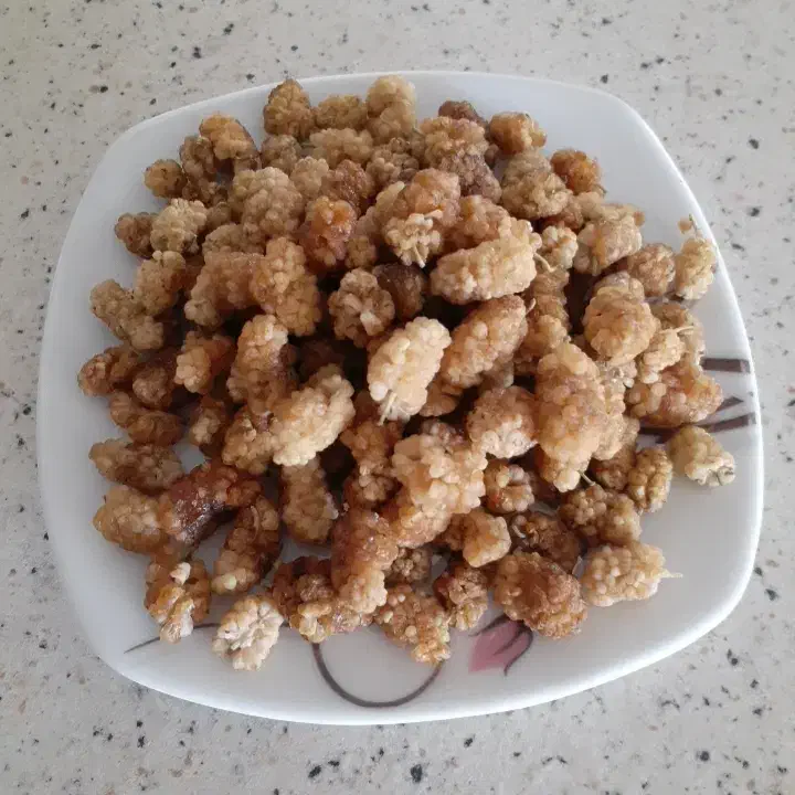 توت خشک کاملا ارگانیک|خوردنی و آشامیدنی|مشهد, عسگریه|دیوار