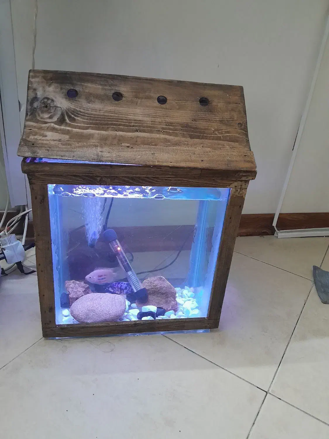 اکواریوم|ماهیگیری|مشهد, سید رضی|دیوار