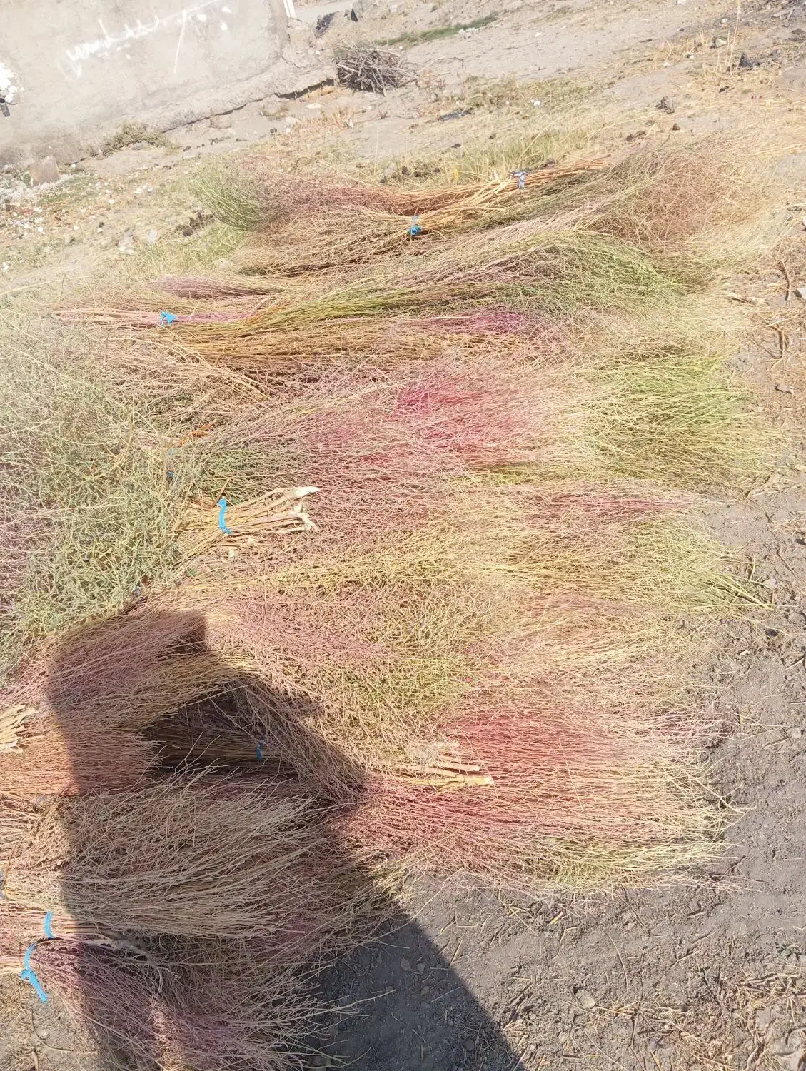 جارو|لوازم نظافت|شیروان (لرستان), |دیوار