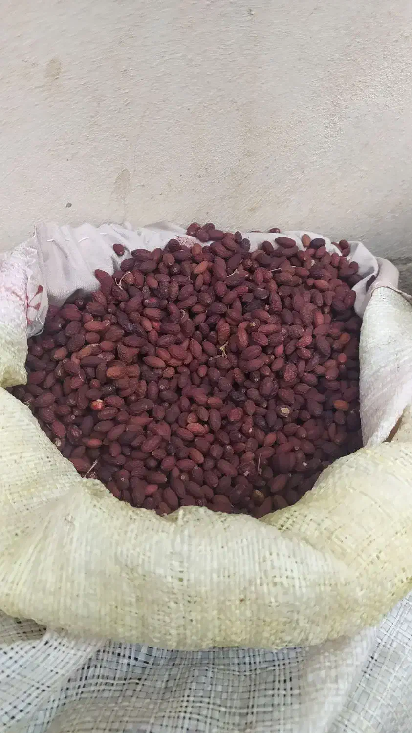 زغال اخته خشک|عمده‌فروشی|قزوین, |دیوار