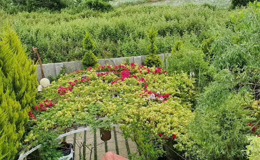 ویلا شهرکی/امنیت بالا/ویوابدی سرسبز650متری رویان|فروش خانه و ویلا|رویان, |دیوار