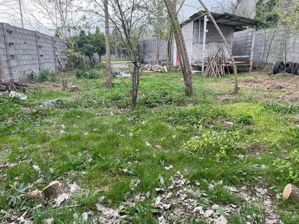 زمین مسکونی سند ششدانگ کندلات(امامزاده هاشم گیلان)|فروش زمین و ملک کلنگی|توتکابن, |دیوار