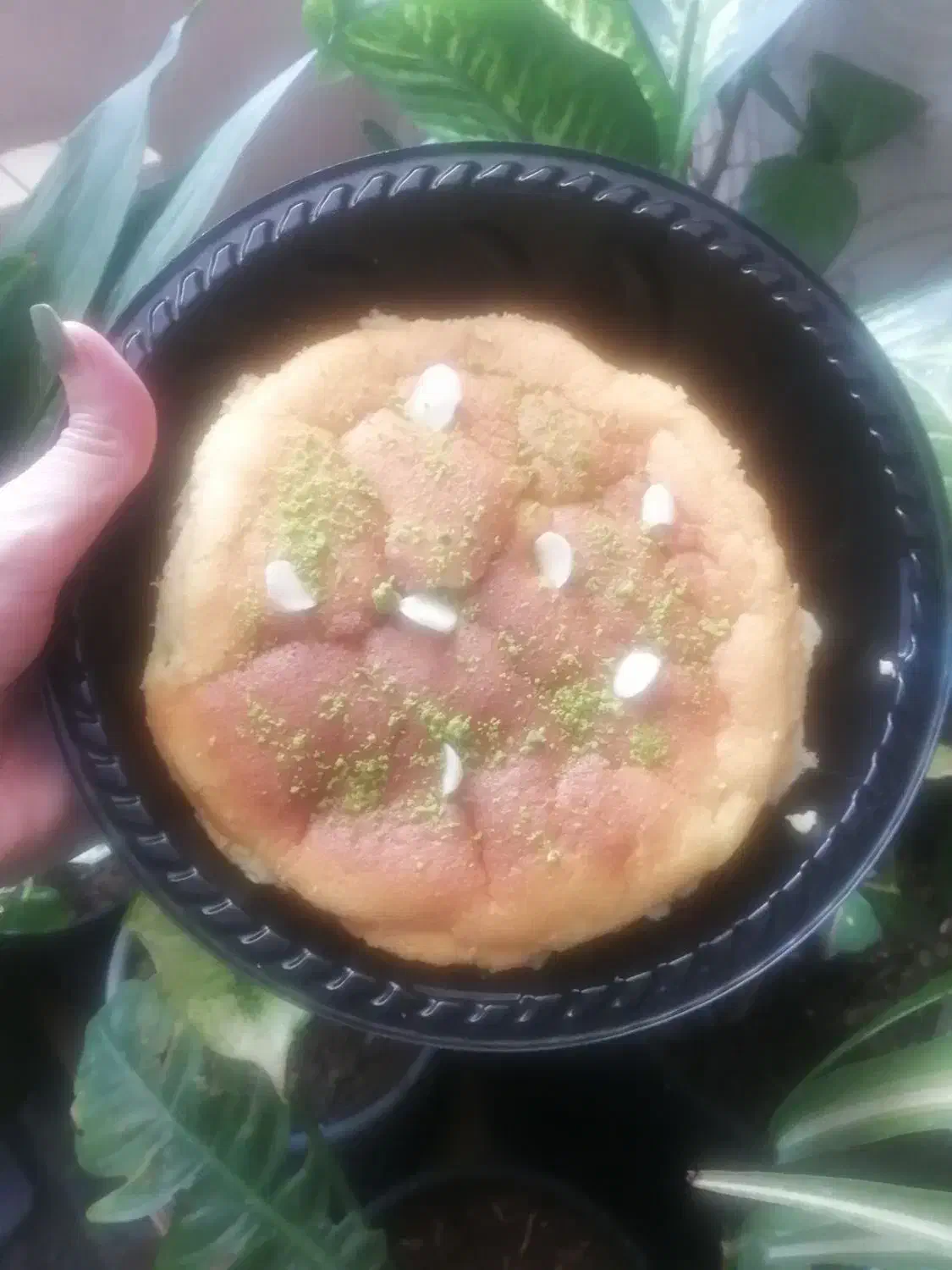دسر و شیرینی|خوردنی و آشامیدنی|شیراز, بعثت|دیوار