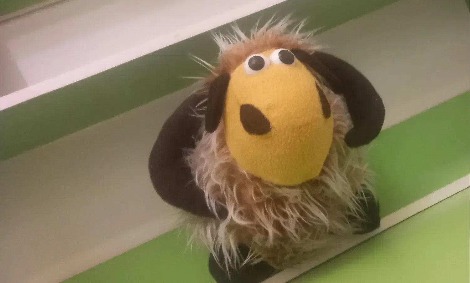 دو عدد عروسک|اسباببازی بچه|میانه, |دیوار