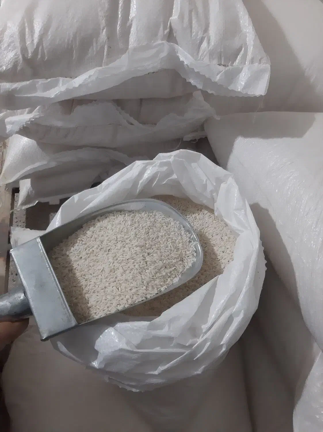 فروش ویژه برنج ایرانی|خوردنی و آشامیدنی|پاکدشت, پاکدشت (مامازند)|دیوار