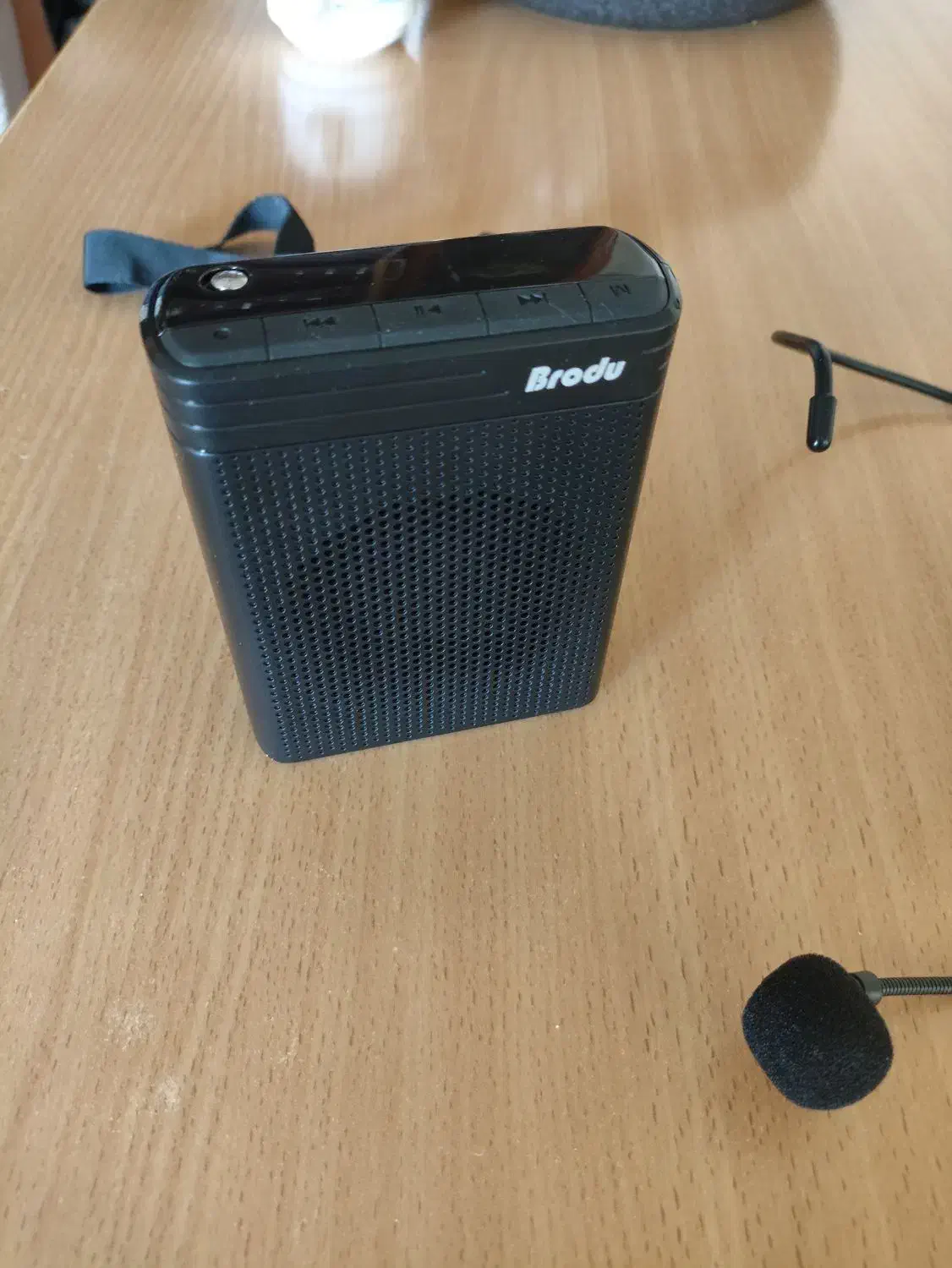 اسپیکر همراه با میکروفن بی سیم|پخش‌کننده همراه|کرمان, |دیوار