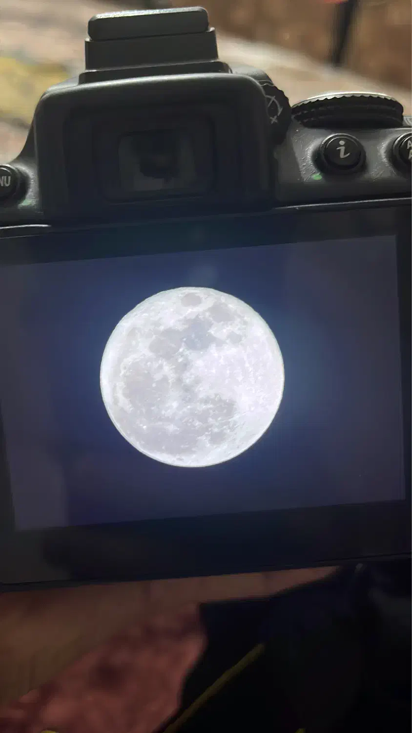 دوربین حرفه ای عکاسی نیکون|دوربین عکاسی و فیلم‌برداری|سراوان, |دیوار