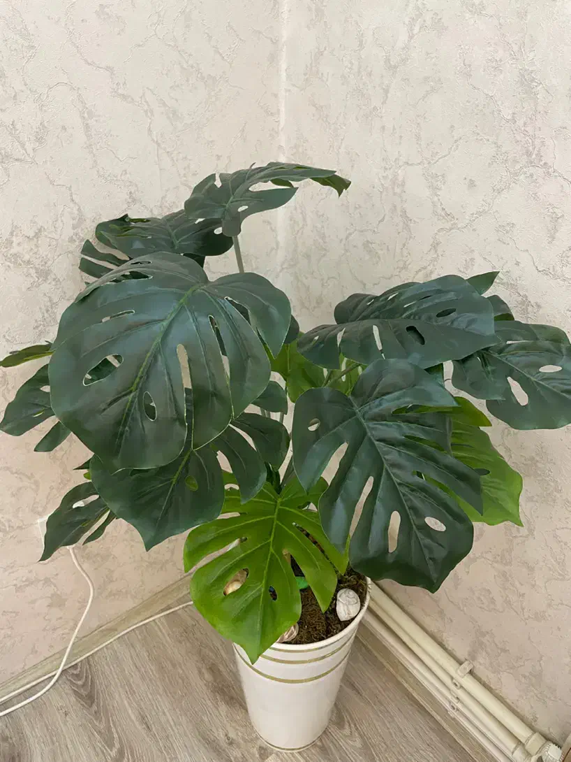 گل مصنوعی با گلدان|گل مصنوعی|تبریز, |دیوار