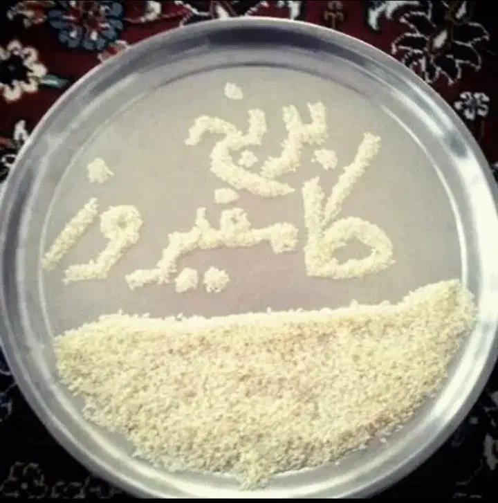 برنج کامفیروزی چمپه|خوردنی و آشامیدنی|شیراز, ابیوردی|دیوار