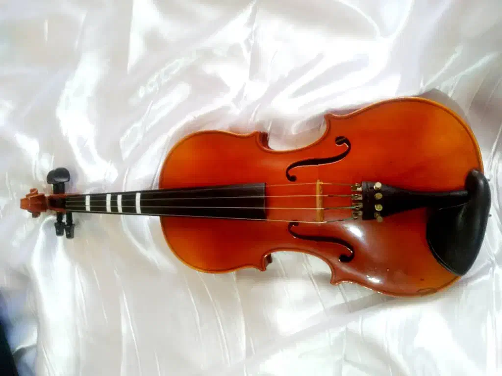 ساز ویولن اصل چک و اسلواکی 4/4|ویولن|تهران, فلسطین (میدان انقلاب)|دیوار