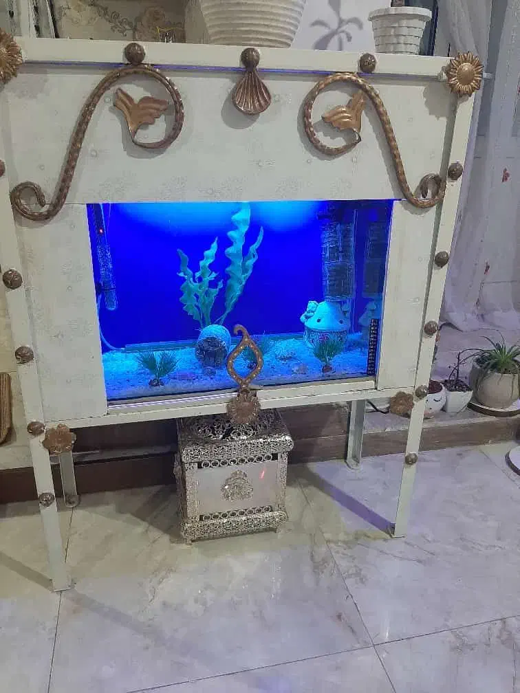 اکواریوم ۶۰ لیتری|ماهی|وحیدیه, |دیوار