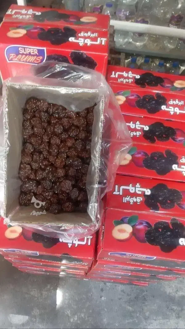 آلوچه آفتابخشک مراغه|خوردنی و آشامیدنی|بابل, |دیوار