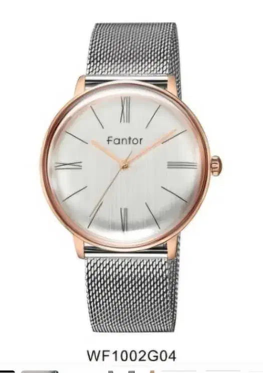 ساعت فانتور  WF100G04   Fantor|ساعت|تهران, علم و صنعت|دیوار