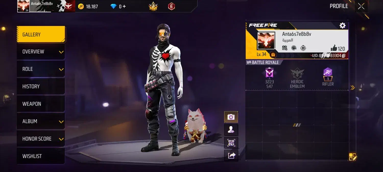 فری فایر|کنسول، بازی ویدئویی و آنلاین|اسفراین, |دیوار