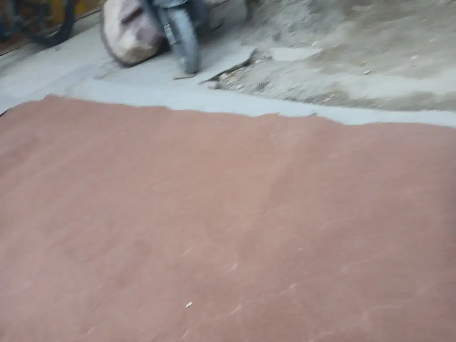 موکت ۱۲متری|فرش|خرمشهر, |دیوار