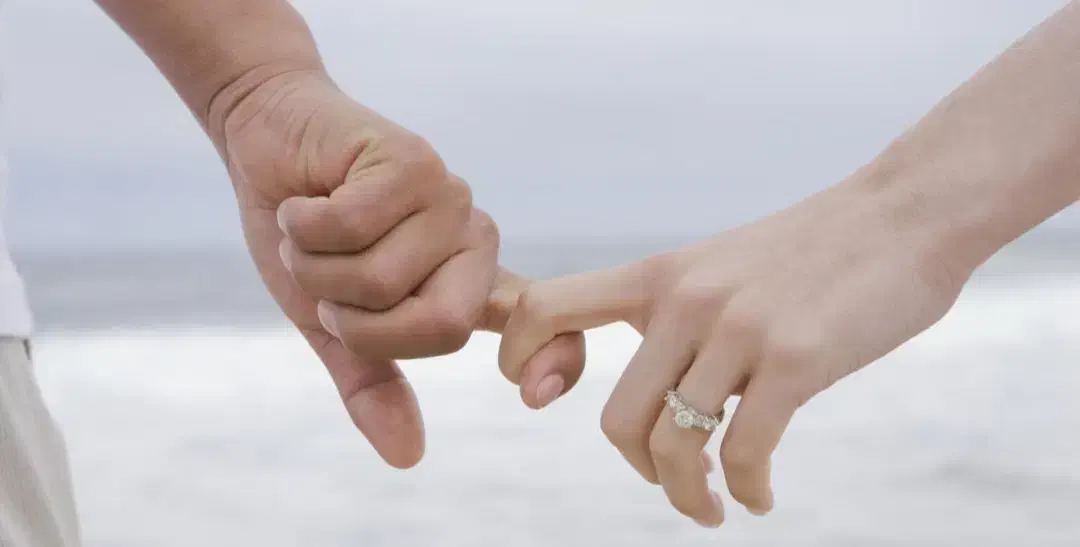 راهنمایی|فعالیت داوطلبانه تحقیقاتی|سنندج, |دیوار