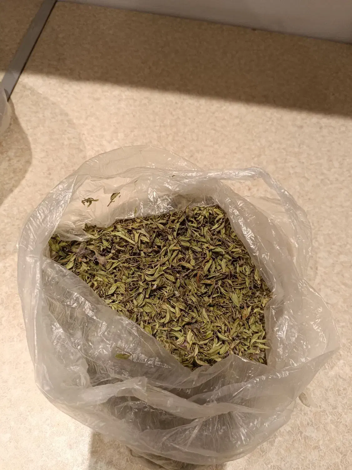 آب زرشک کوهی|خوردنی و آشامیدنی|سلمان‌شهر, |دیوار