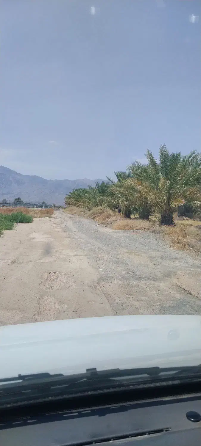 زمین کشاورزی|فروش زمین و ملک کلنگی|چاه مرید, |دیوار