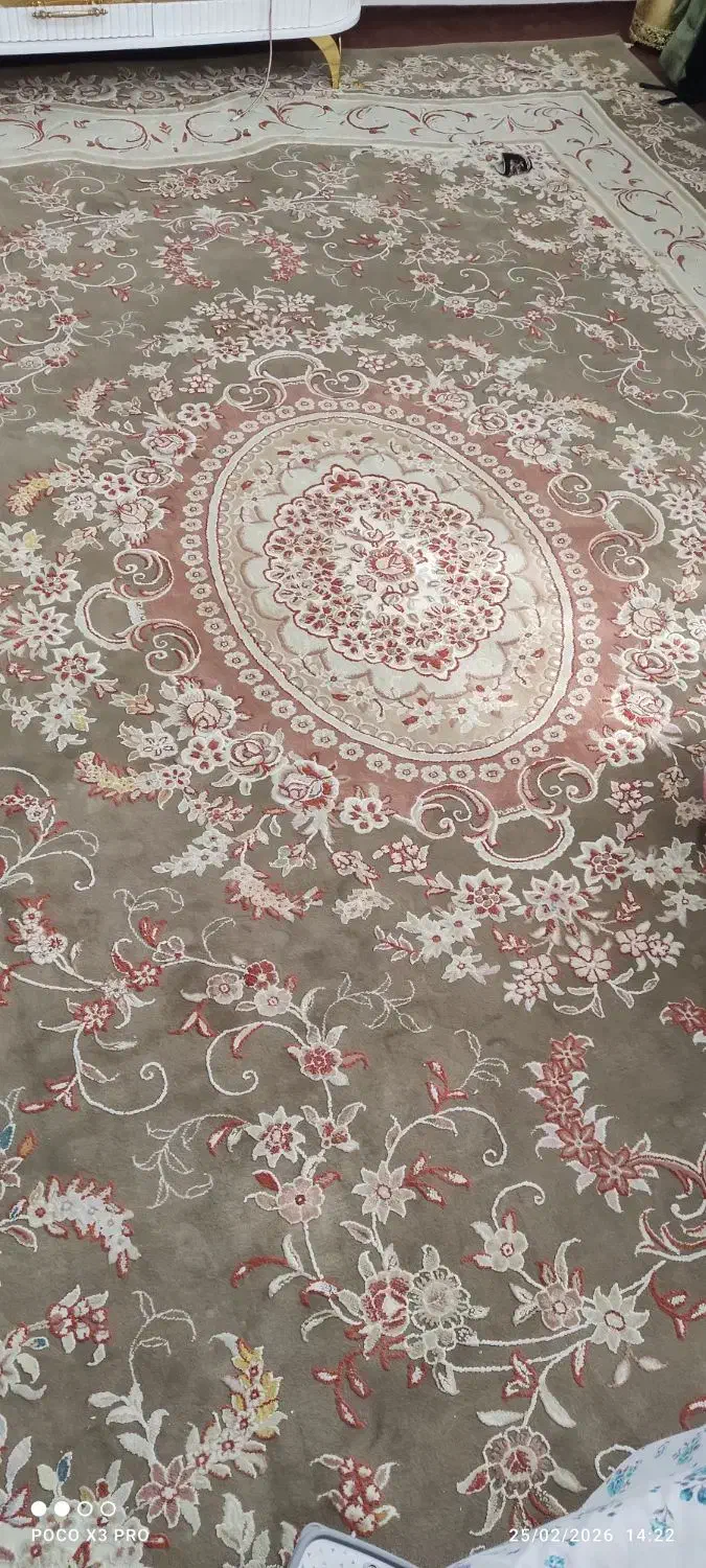 فرش ۱۲متری|فرش|مراغه, |دیوار