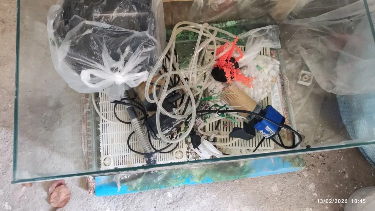 اکواریوم|لوازم جانبی حیوانات|بیرجند, |دیوار