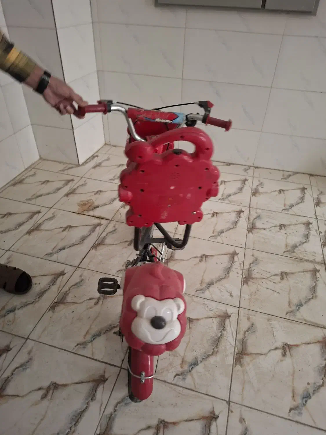 دوچرخه درحد نونو نو نو|دوچرخه، اسکیت، اسکوتر|فلاورجان, |دیوار