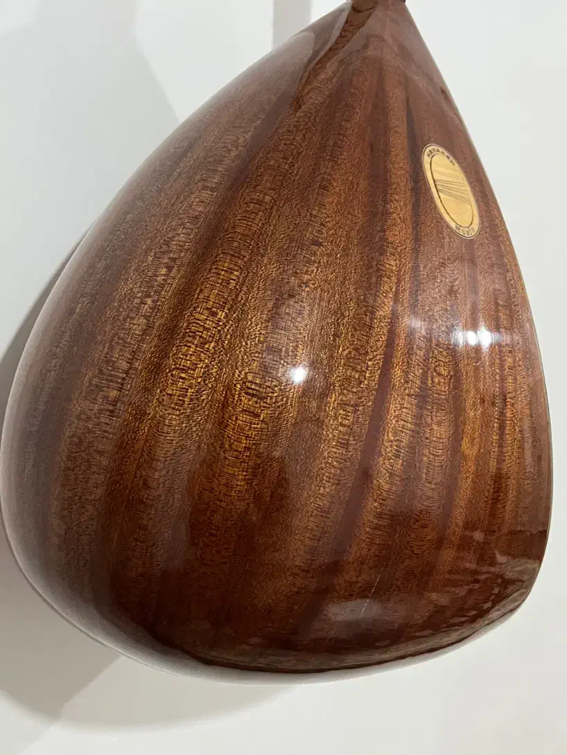 باغلاما دسته کوتاه هناره|سازهای سنتی|مهاباد (آذربایجان غربی), |دیوار