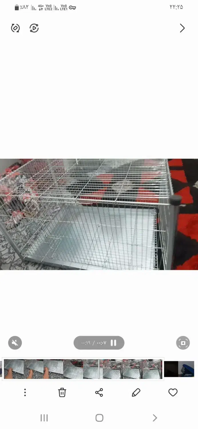 قفس نو مناسب گربه و سگ|لوازم جانبی حیوانات|نسیم‌شهر, |دیوار