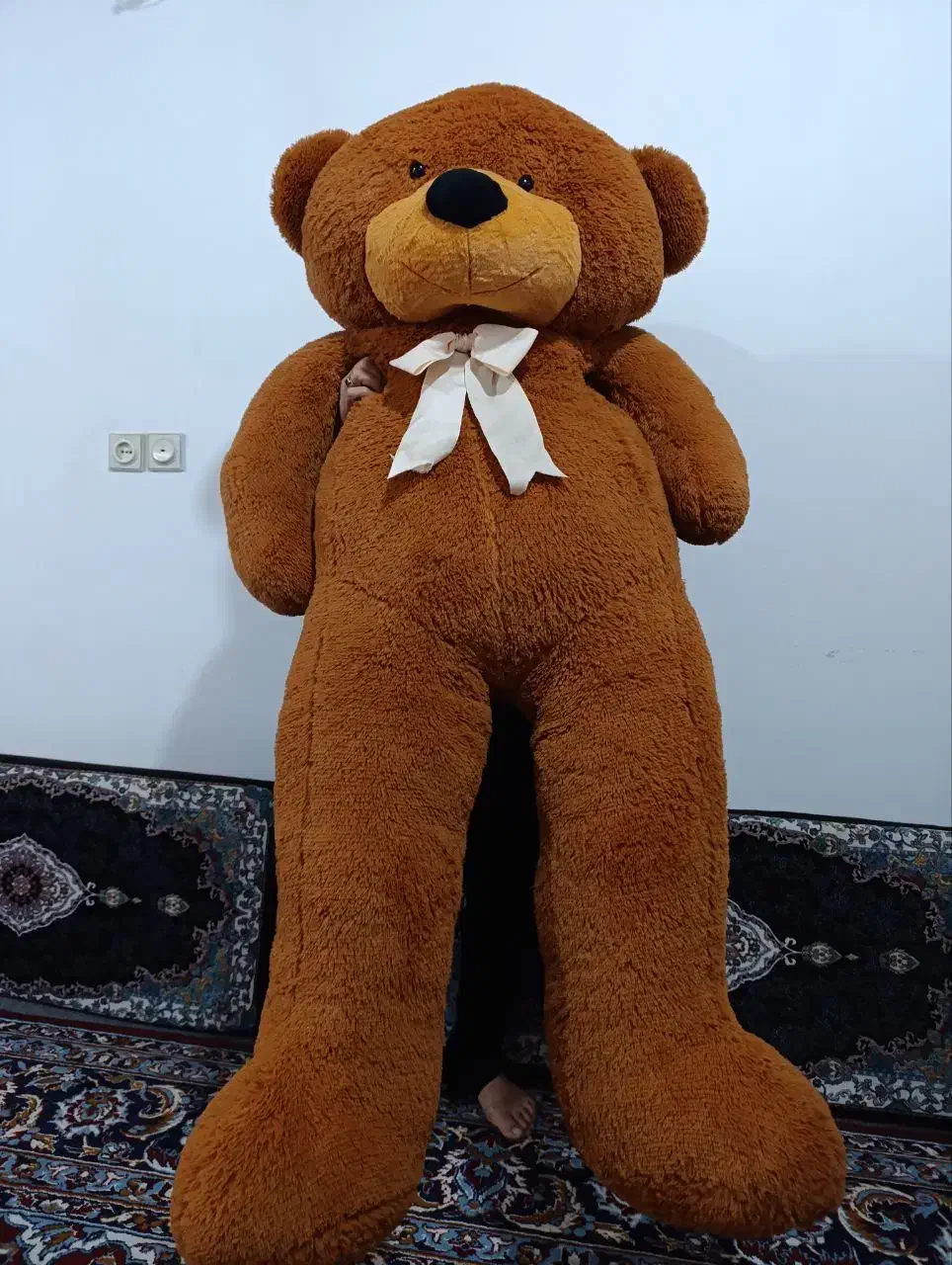 خرس تددی مخملی|اسباب‌‌بازی|نوشهر, |دیوار