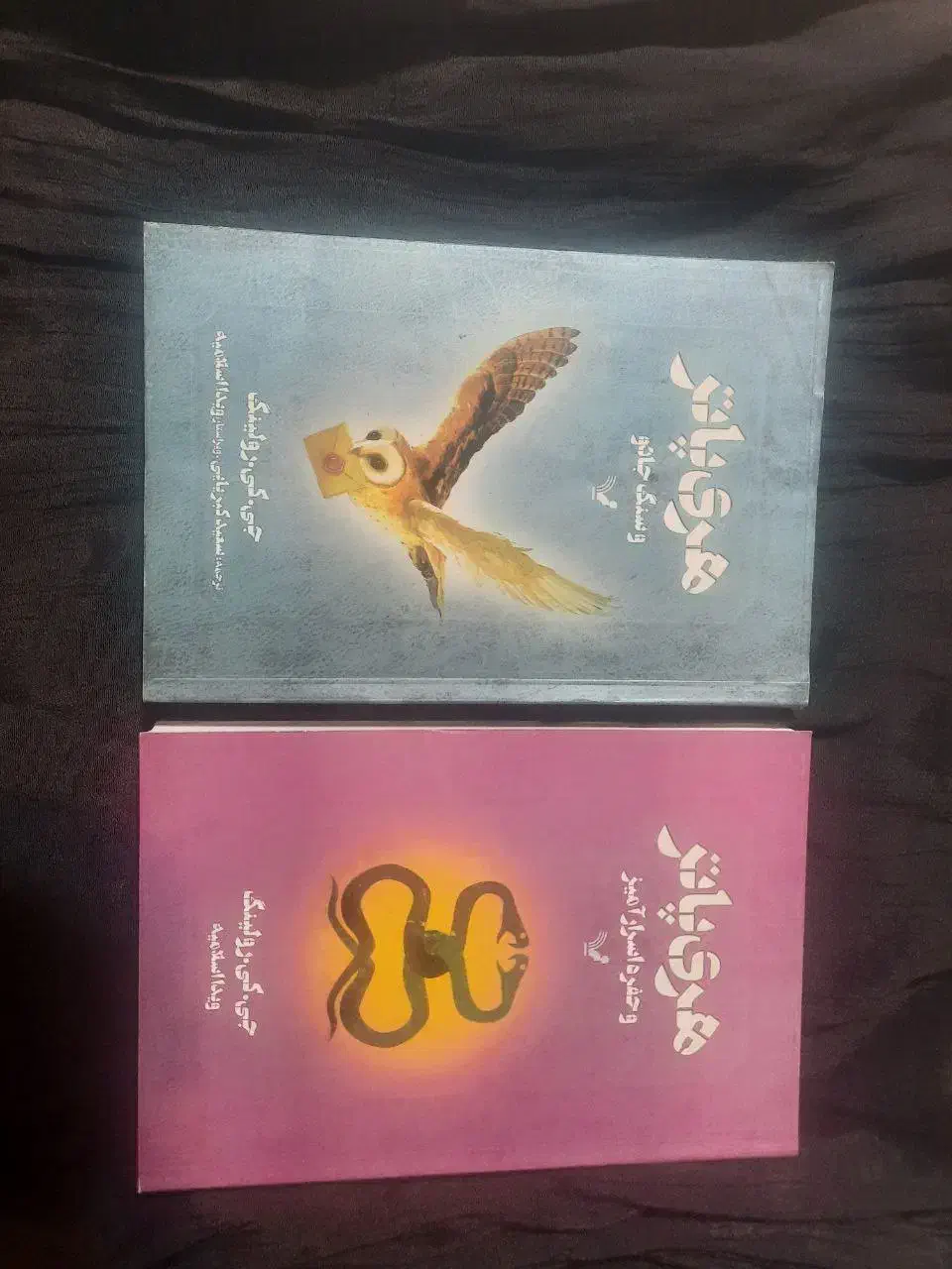کتاب هری پاتر|کتاب و مجله ادبی|شیراز, باهنر|دیوار