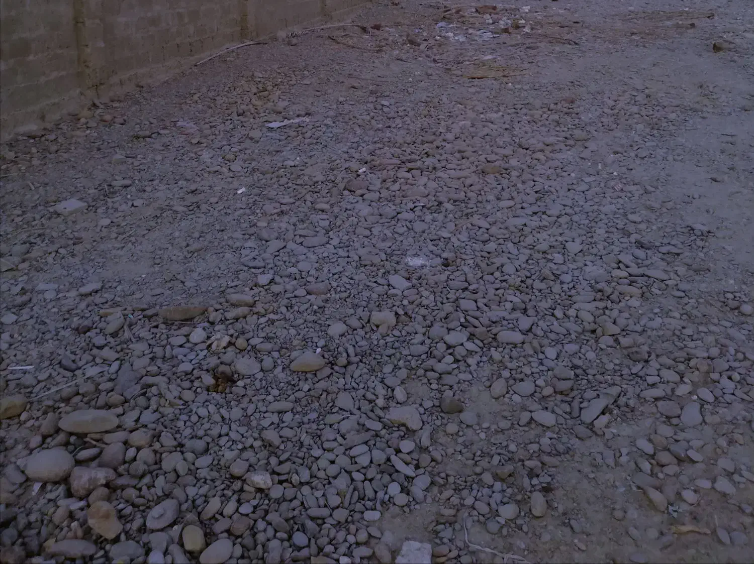 فروش زمین مسکونی تجاری در شهر نگور|فروش زمین و ملک کلنگی|دشتیاری, |دیوار