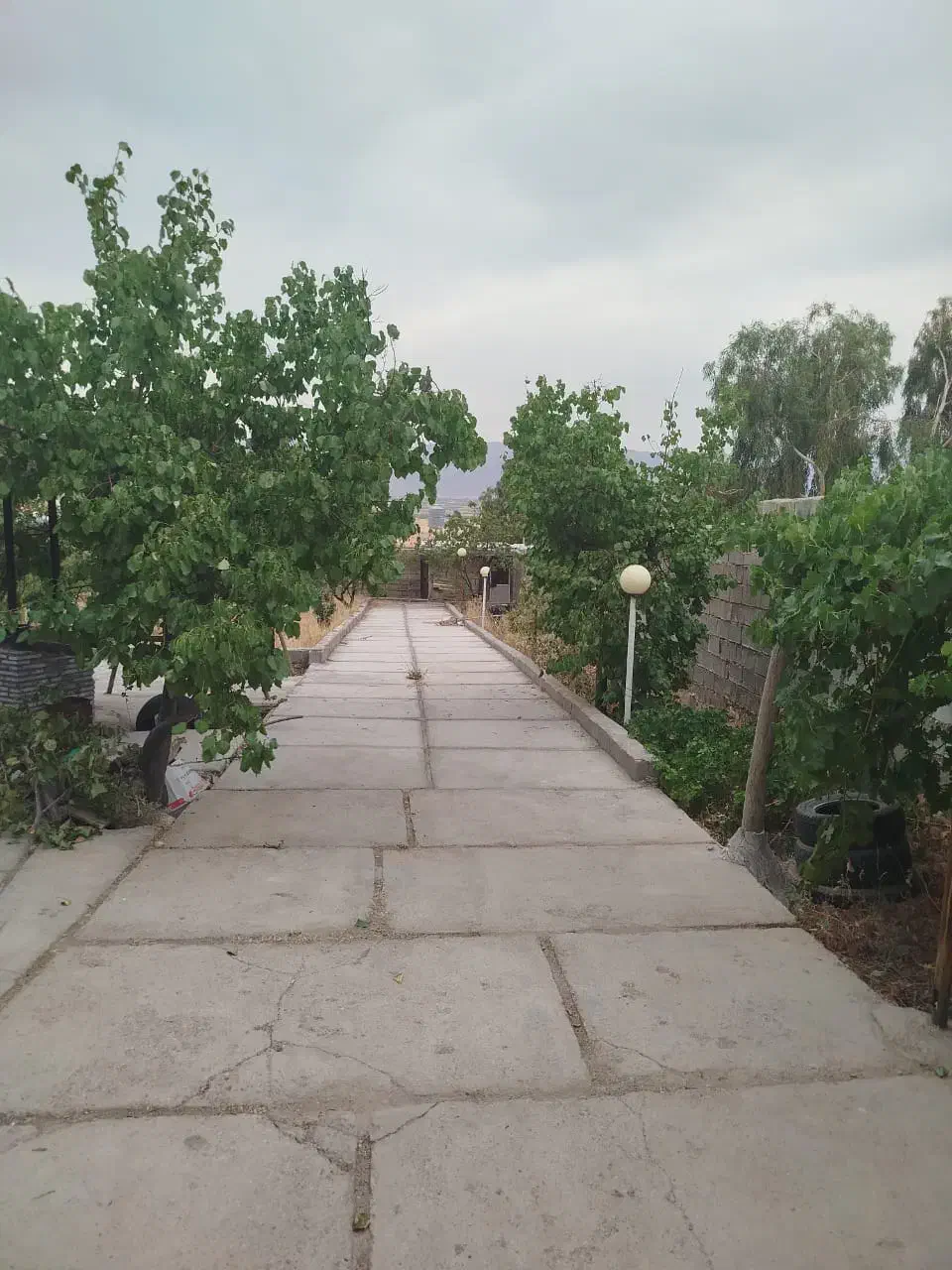 مشکلات ملکی|فعالیت داوطلبانه|شیراز, گویم|دیوار