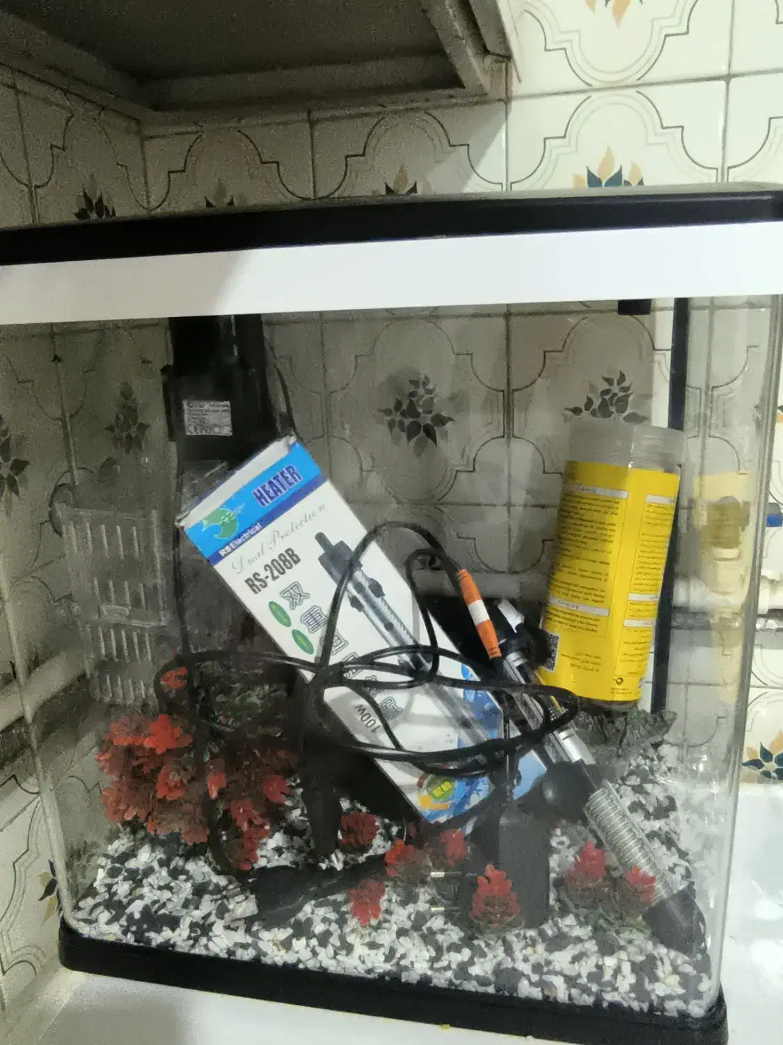 اکواریوم|ماهی|تهران, افسریه شمالی|دیوار