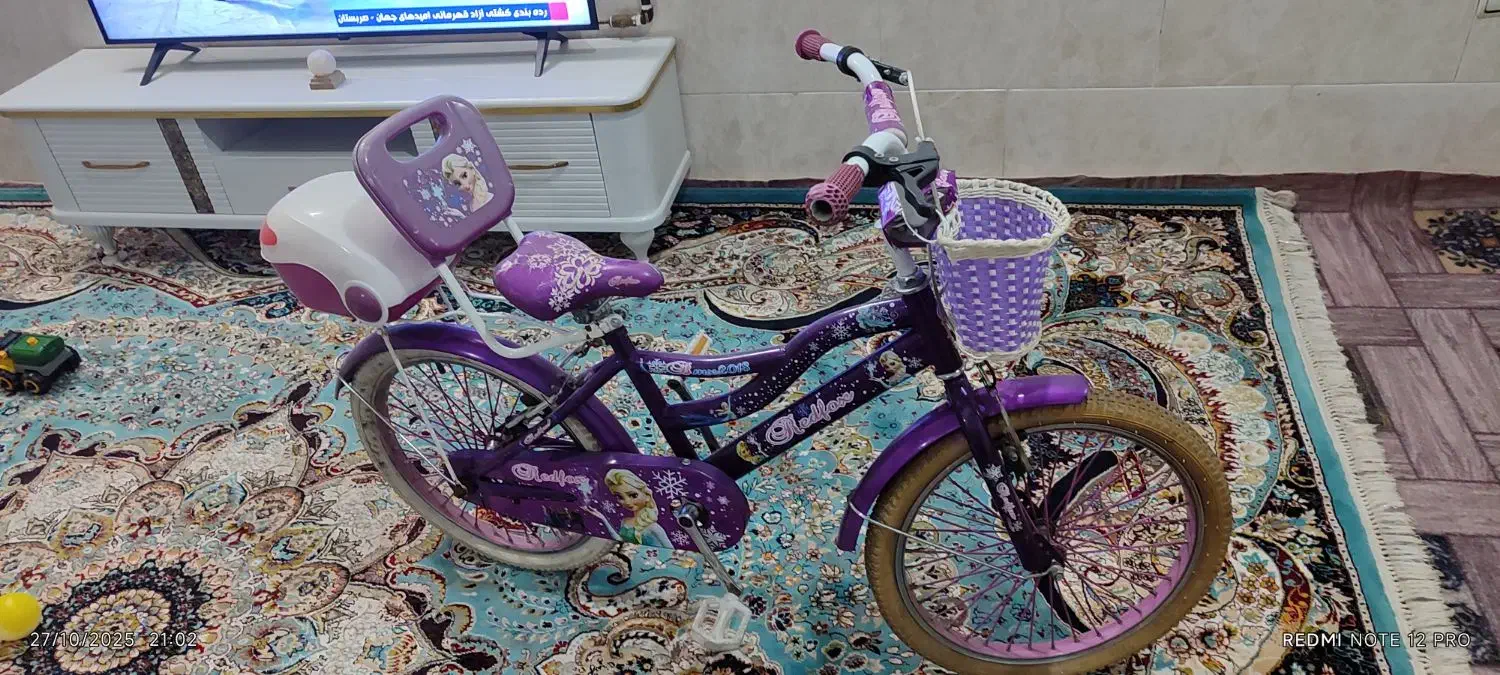 دوچرخه 20 دوخترونه در حد نو|دوچرخه، اسکیت، اسکوتر|شیراز, پودنک|دیوار