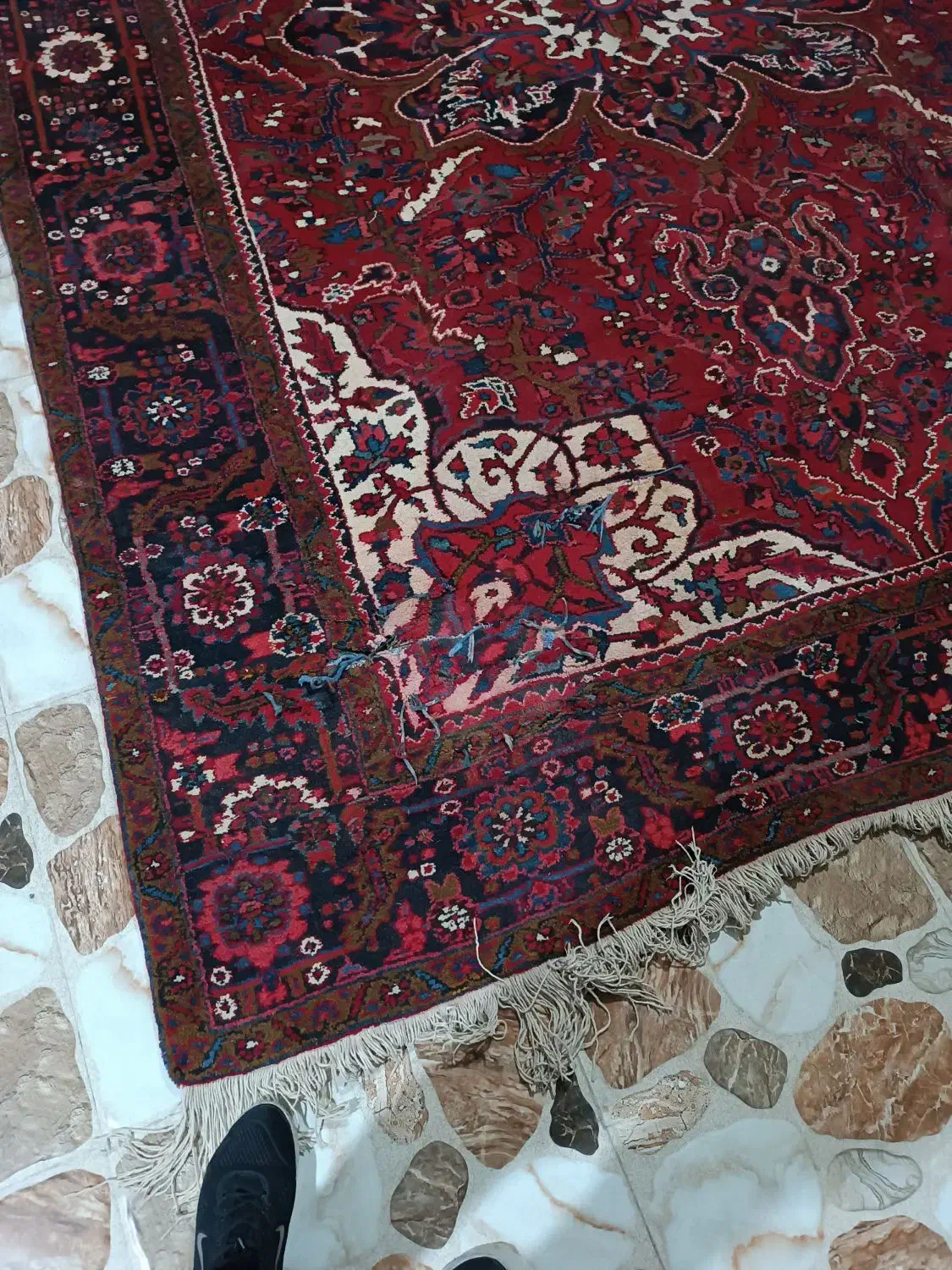 فرش|فرش|عجب شیر, |دیوار