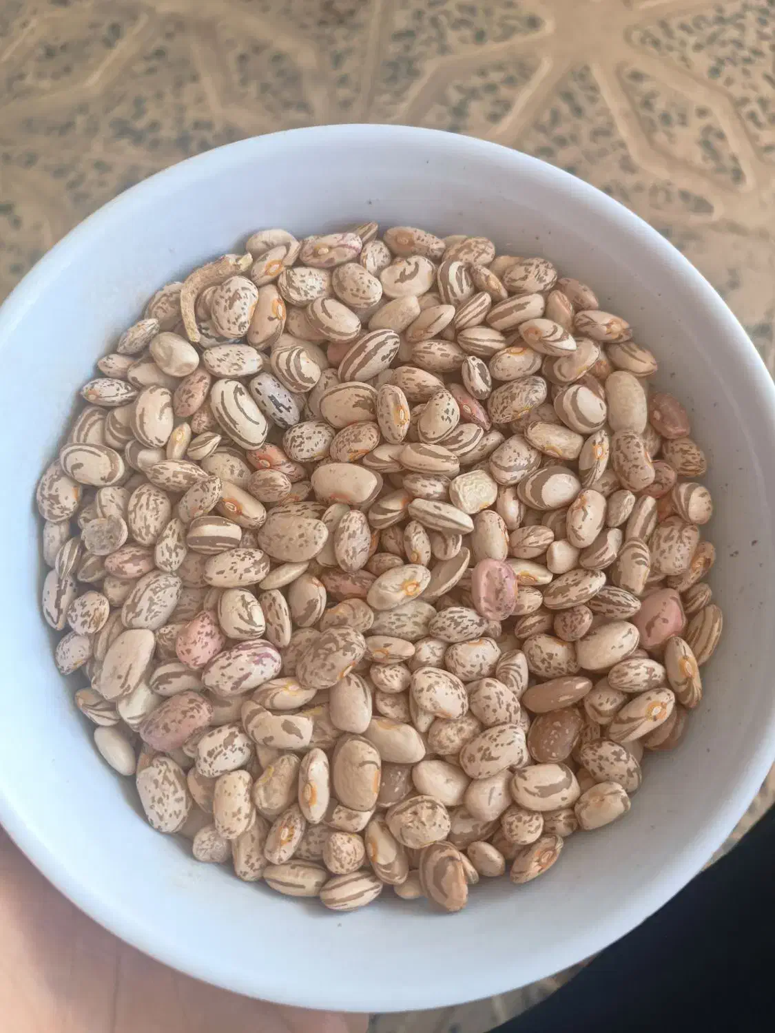 لوبیا چیتی|خوردنی و آشامیدنی|نهاوند, |دیوار