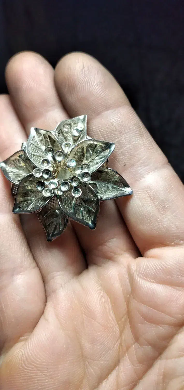 یک جفت گل سینه عطیقه قاجاری|کلکسیون اشیاء عتیقه|رشت, کاکتوس|دیوار