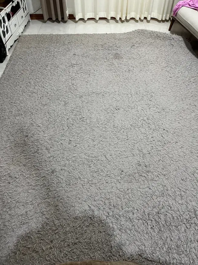 فرش ۹ متری|فرش|گنبد کاووس, |دیوار